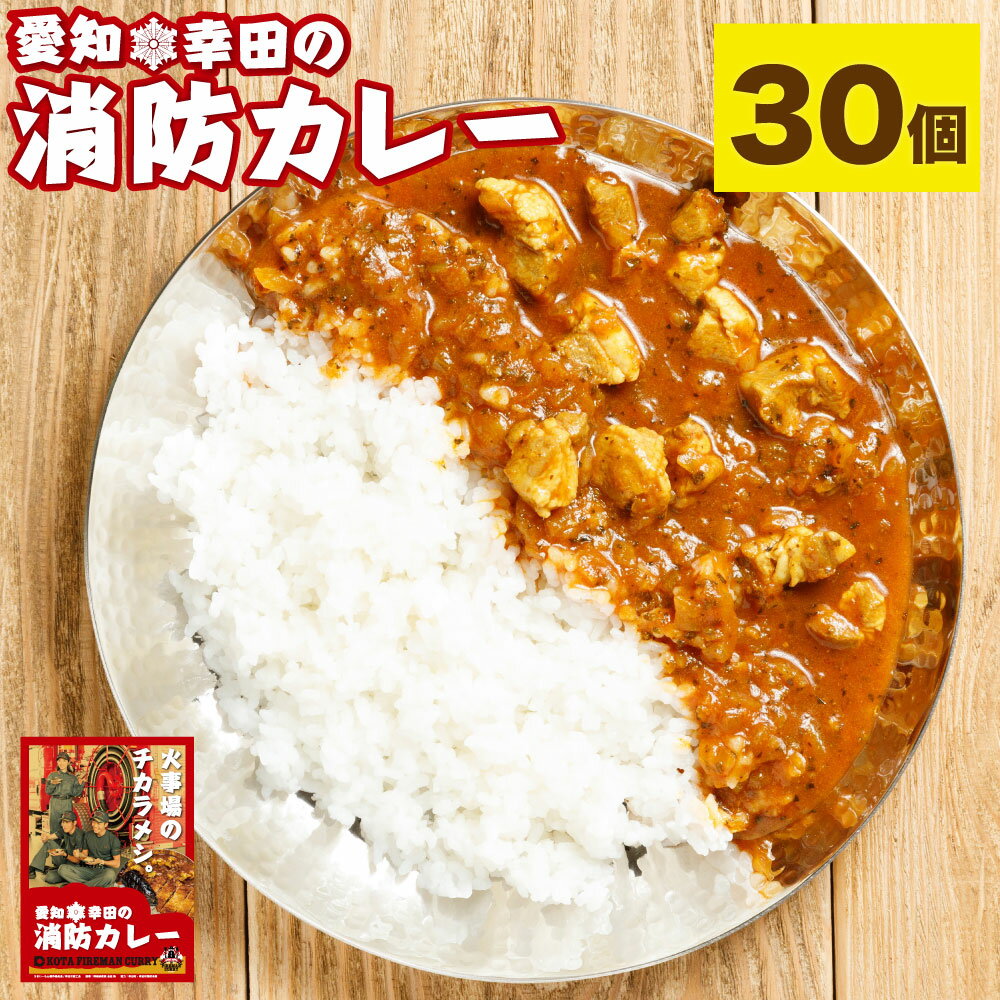 20位! 口コミ数「0件」評価「0」幸田消防カレー 200g×30個 30食セット カレー レトルトカレー レトルト ご当地カレー 小麦粉不使用 豚肉 惣菜 常温保存 保存食 ･･･ 