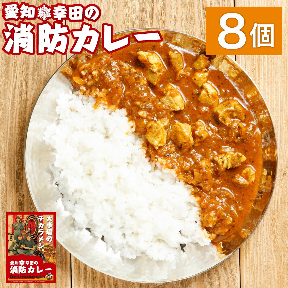 【ふるさと納税】幸田消防カレー 200g×8個 8食セット 