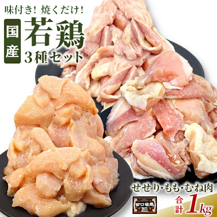 【ふるさと納税】奥三河どり使用！ 田口塩鶏 国産 若鶏味付け肉 3種セット 1kg（もも肉300g×1・むね肉300g×1・せせり200g×2）もも肉 むね肉 塩ダレ 味付け肉 鶏肉 鶏 肉 キャンプ バーベキュー 味付け肉 大容量 手軽 地鶏 焼肉 焼き鳥 10000円 10,000円 10000 -169