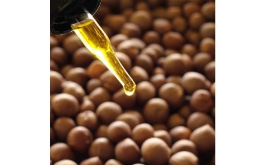 【ふるさと納税】無添加・無農薬★元・植物研究者が作った スキンケアオイル 設楽茶油 美容 オイル スキンケア 油 ヘアオイル アトピー お茶の実 天然成分 -012