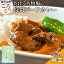 【ふるさと納税】 ご当地カレー 国産牛 特製ビーフカレー お試し 1個...(4)