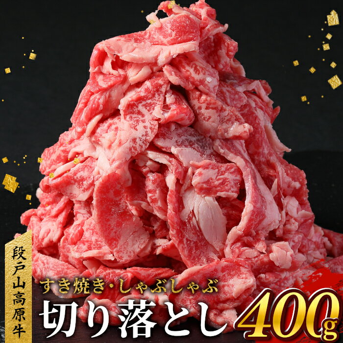 国産ブランド牛 切り落とし 400g (200g×2) 小分け 段戸山高原牛 幻 牛 国産 牛肉 牛 スライス 地域 限定 小分け 大満足 赤身 肉 数量限定 肉 牛肉切り落とし 牛切り落とし 国産牛 ブランド牛 5000円 -070