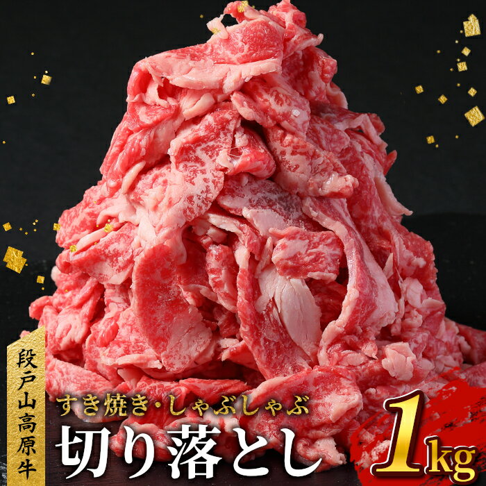 乐天商城 - 【ふるさと納税】国産ブランド牛 切り落とし 1Kg (200g×5） 小分け 段戸山高原牛 幻 牛 国産 牛肉 牛 スライス 地域 限定 小分け 大満足 赤身 肉 数量限定 肉 牛肉切り落とし 牛切り落とし 国産牛 ブランド牛 10000円 10,000円 -039