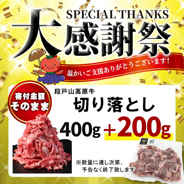 【ふるさと納税】〈3月受付限定！〉国産ブランド牛 牛肉 切り落とし 600g (200g×3） 小分け 段戸山高原牛 幻 牛 国産 牛肉 牛 スライス 小分け 大満足 赤身 肉 数量限定 肉 国産牛 ブランド牛 5000円 -070