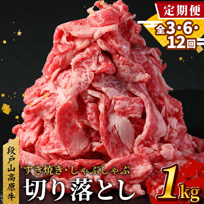 [選べる回数!定期便] 国産牛 切り落とし 1パック200g 小分け 段戸山高原牛 幻の牛 国産 牛肉 牛 スライス 地域 限定 小分け 大満足 赤身 肉 数量限定 肉 牛肉切り落とし 牛切り落とし -230