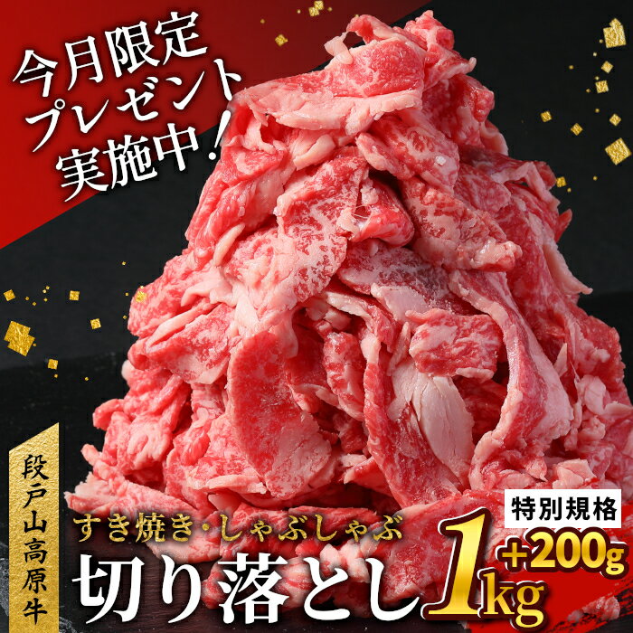 特別規格★国産ブランド牛 切り落とし 1.2Kg (200g×6) 小分け 段戸山高原牛 幻 牛 国産 牛肉 牛 スライス 地域 限定 小分け 大満足 赤身 肉 数量限定 肉 牛肉切り落とし 牛切り落とし 国産牛 ブランド牛 10000円 10,000円 -039