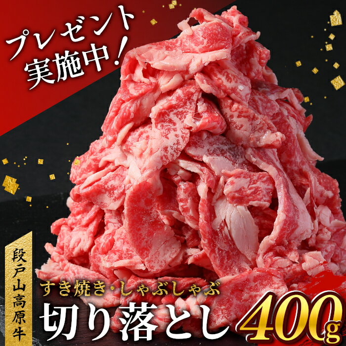 キャンペーン実施中!7月発送★国産ブランド牛 牛肉 切り落とし 400g (200g×2) 小分け 段戸山高原牛 幻 牛 国産 牛肉 牛 スライス 小分け 大満足 赤身 肉 数量限定 肉 国産牛 ブランド牛 5000円 -070