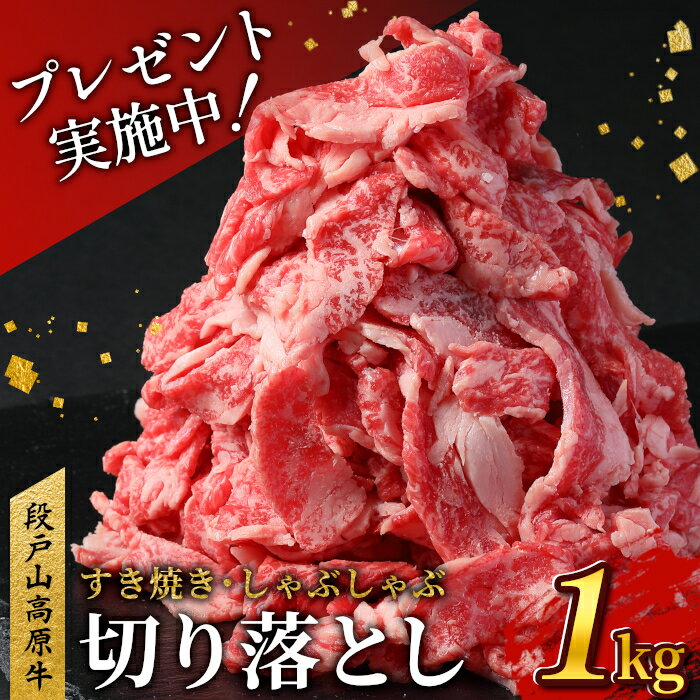 キャンペーン実施中!7月発送★国産ブランド牛 切り落とし 1Kg (200g×5) 小分け 段戸山高原牛 幻 牛 国産 牛肉 牛 スライス 地域 限定 小分け 大満足 赤身 肉 数量限定 肉 牛肉切り落とし 牛切り落とし 国産牛 ブランド牛 10000円 10,000円 -039