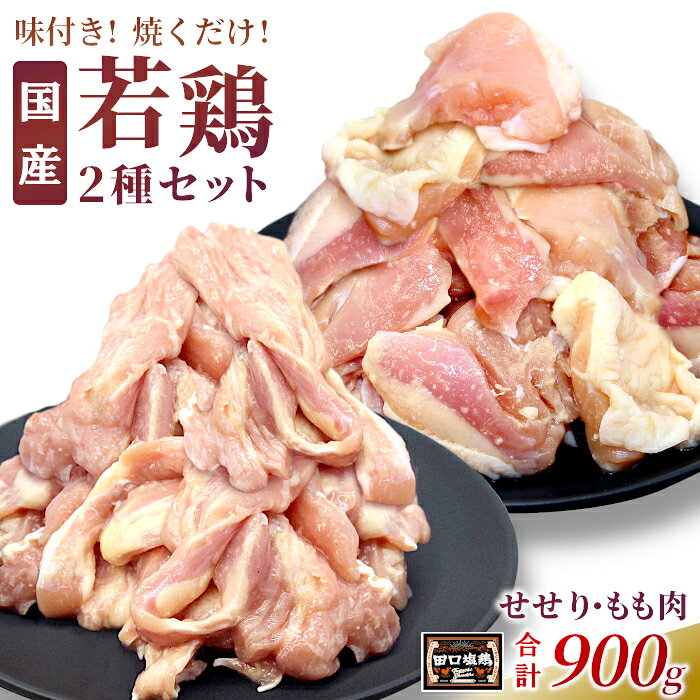 田口塩鶏 国産 若鶏味付け肉 2種セット(せせり・もも肉)合計900g もも肉 500g せせり 400g 塩ダレ 味付け肉 鶏肉 鶏 肉 バーベキュー 味付け肉 大容量 焼くだけ 焼肉 焼き鳥 奥三河どり 10000円 10,000円 10000 -171
