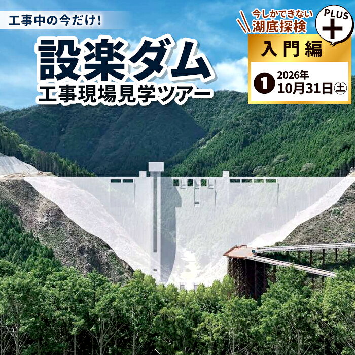 【ふるさと納税】今だけの体験！限定5組！10月31日（土）設楽町 巨大ダム工事現場見学ツアー 入門編 PULS 1組4名まで ダム 1日 限定 イベント 体験チケット 見学 巨大ダム 道の駅したら 愛知県 設楽町-287