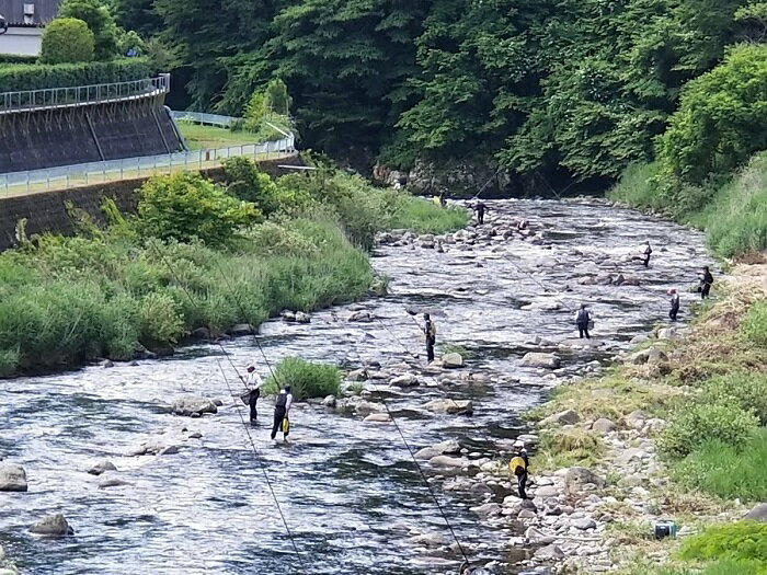 大入川漁協[あゆ釣年券]