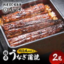 25位! 口コミ数「0件」評価「0」国産手焼き蒲焼2尾セット　【津市】