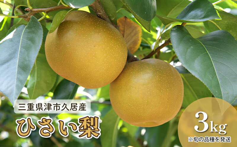 【ふるさと納税】三重県津市久居産 【鈴木果樹園 ひさい梨 3kg】 [ 梨 幸水 秀玉 豊水 ナシ 果物 フルーツ 産地直送 ] 　お届け：8月下旬～9月上旬に発送予定