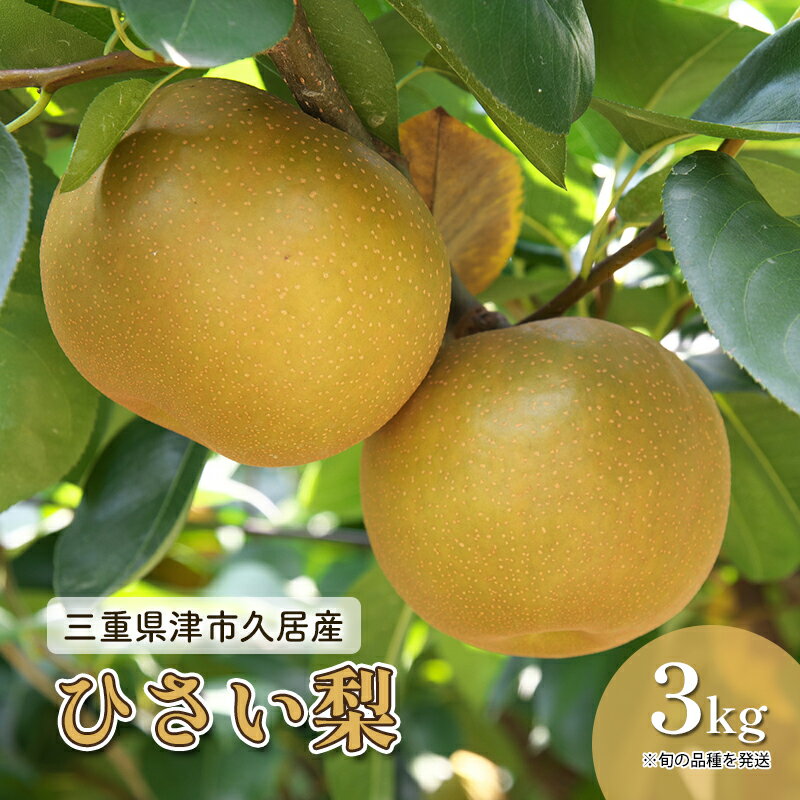 【ふるさと納税】三重県津市久居産 【鈴木果樹園 ひさい梨 3kg】 [ 梨 幸水 秀玉 豊水 ナシ 果物 フルーツ 産地直送 ] 　お届け：8月下旬～9月上旬に発送予定