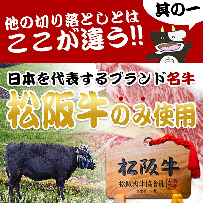 【三重県津市】　【ふるさと納税】松阪牛 切り落とし (500g×2) 牛肉 松阪牛 高級 和牛 焼肉 BBQ バーベキュー 牛 松阪牛肉 ブランド牛 黒毛和牛 松阪 人気 自宅用 グルメ お取り寄せ 日本三大和牛 誕生日 お祝い ご馳走 パーティー 贅沢 松良