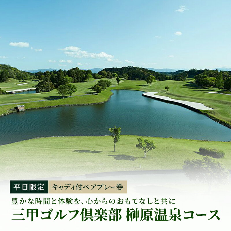 8位! 口コミ数「0件」評価「0」平日限定　キャディ付ペアプレー券　【 津市 】