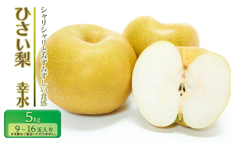 【ふるさと納税】【先行予約】ひさい梨 幸水 5kg【果樹 秀専】 [ 梨 ナシ 果物 フルーツ 産地直送 ] 　お届け：2026年7月29日～2026年8月31日に発送します。