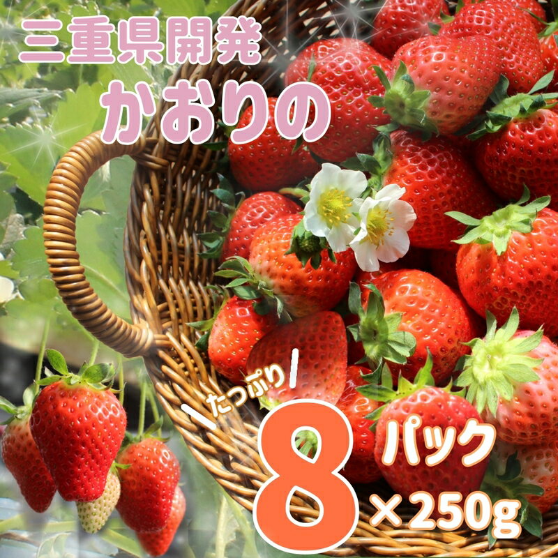 14位! 口コミ数「0件」評価「0」三重県産いちご　「かおり野」　8P　【 津市 】　お届け：2025年2月1日～2025年4月30日