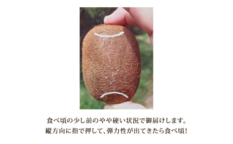 【ふるさと納税】美津みどり　スイーツキウイ [ キウイフルーツ ジューシー 甘い 大きい 果物 フルーツ 産地直送 ] 果物詰合せ　お届け：2026年12月1日～2027年1月10日 f242012-tsu-10000357 三重県津市 サンプル画像3