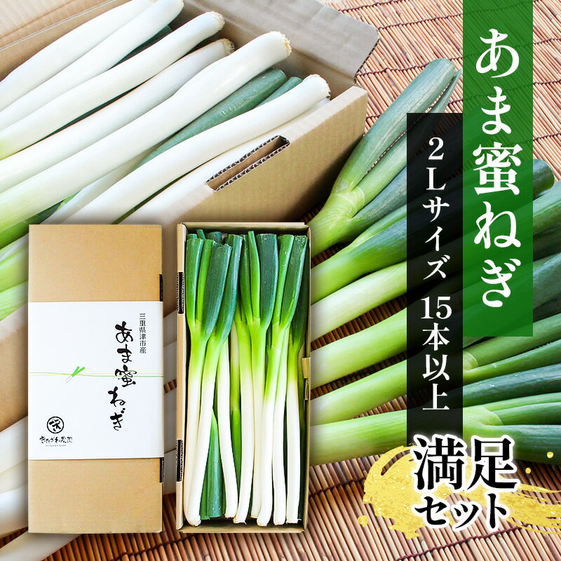 【ふるさと納税】あま蜜ねぎ 満足セット【野菜 ねぎ ネギ 長ネギ】