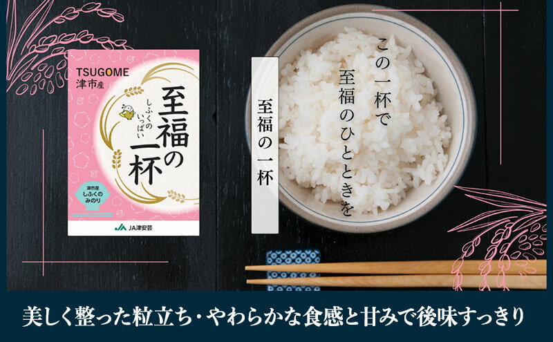 【ふるさと納税】至福の一杯 5kg 令和7年産 米 お米 ご飯 飯 精米 津市 三重県 新品種