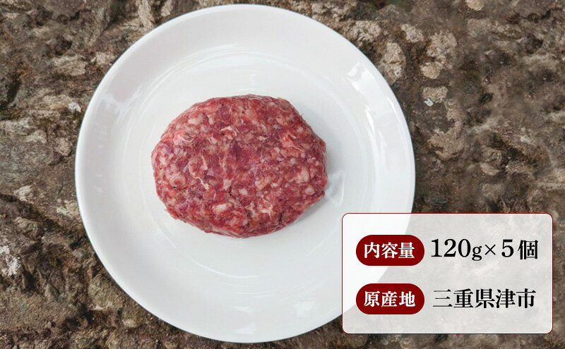 【ふるさと納税】手作り ハンバーグ 5個入 牛肉 人気 自宅用 グルメ お取り寄せ 夕飯 おかず 惣菜 f242012-tsu-10000928 三重県津市 サンプル画像3