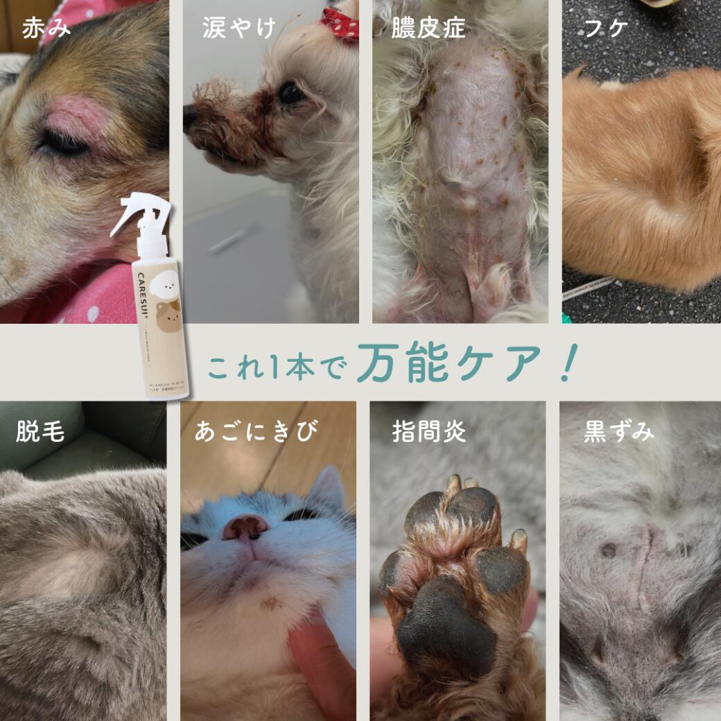 【ふるさと納税】犬 猫 ペット かゆみ CARESUIジェル 150g 1本 | ジェル ケアスイ 動物 温泉水 榊原温泉 濃縮温泉水 無香料 舐めてもOK 優しい 痒み 乾燥 保湿 肉球 皮膚 被毛 毛ツヤ フケ 皮膚トラブル 涙やけ 目ヤニ 消毒液 ひび割れ 赤み f242012-tsu-10000989 三重県津市 サンプル画像3