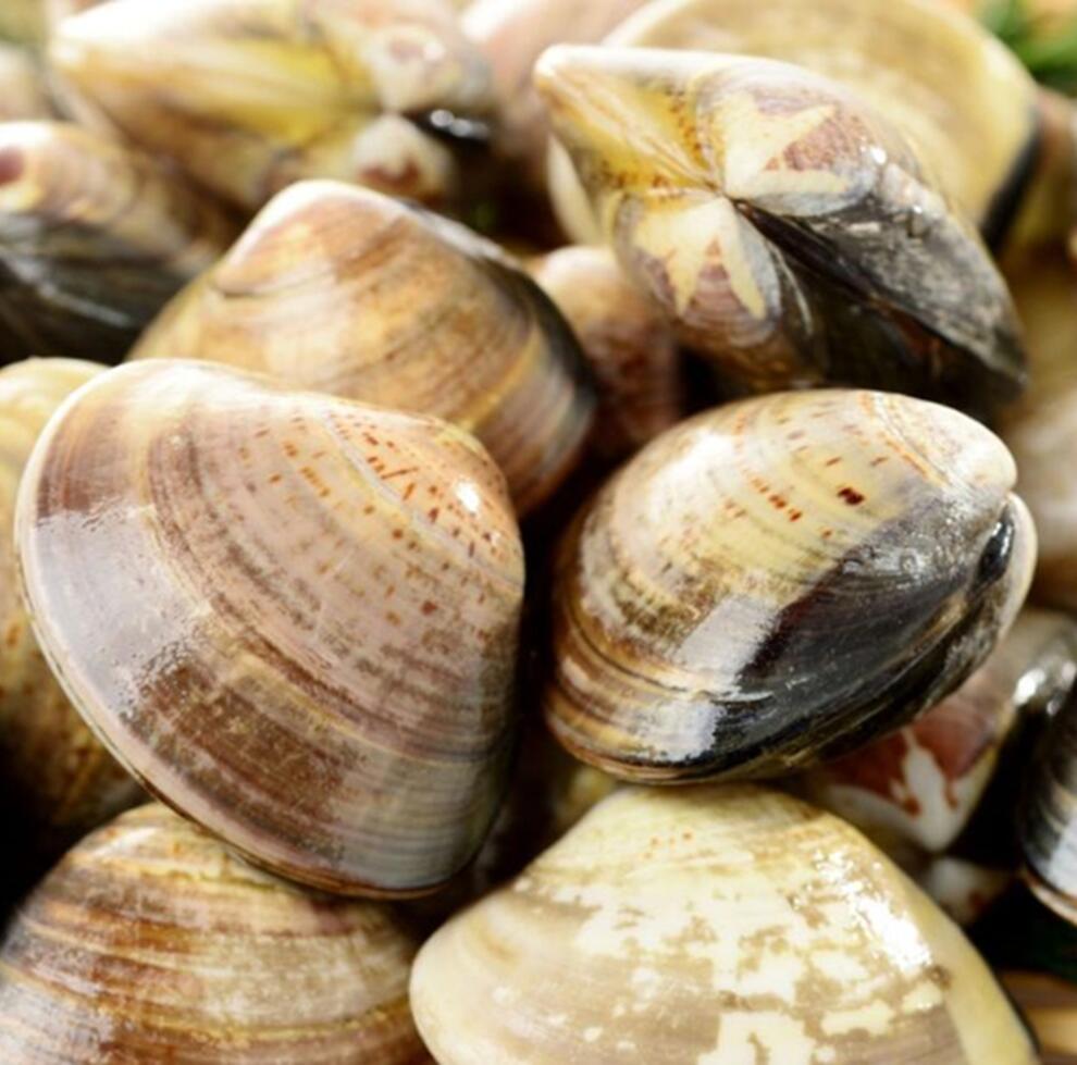 三重県四日市市の画像3