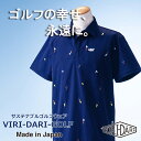 【ふるさと納税】再生ポリエステル使用 サステナブル・ゴルフウェア・ブランド VIRI DARI ( ヴィリダリ ) GOLF のウェア メンズ 半袖ポロ 刺繍 ...