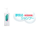 【ふるさと納税】植物100%天然のヘアシャンプー「夢見るシャンプー」300ml 1本
