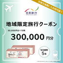 【ふるさと納税】三重県四日市市 地域限定旅行クーポン 300,000円分【日本旅行 トラベルクーポン 納税チケット 旅行 宿泊券 ホテル 観光 旅行 旅行券 交通費 体験 宿泊 夏休み 冬休み 家族旅行 ひとり旅 カップル 夫婦 親子 四日市市旅行】