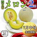 【ふるさと納税】【先行予約】阿部夫妻が愛情をこめたマスクメロン(2個入)【7月中旬発送開始】