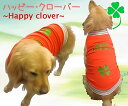 7位! 口コミ数「0件」評価「0」超大型犬用 犬服