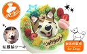 6位! 口コミ数「0件」評価「0」犬用似顔絵ケーキ・選べるクリーム・獣医師監修