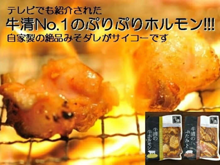 29位! 口コミ数「0件」評価「0」1504　自家製 みそダレ Aセット 牛 ホルモン 200g×1 豚肉×1/ 黒毛和牛ホルモン 牛清 バーベキュー BBQ キャンプ 牛肉 ･･･ 