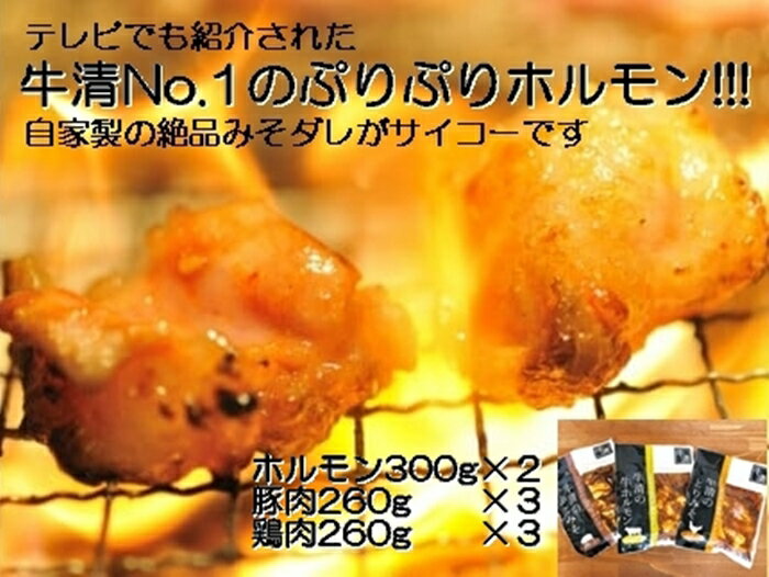 【ふるさと納税】1517　自家製 みそダレ Nセット 牛 ホルモン 300g×2 豚肉 ×3 鶏肉 ×3/ 黒毛和牛ホルモン 牛清 バーベキュー BBQ キャンプ 牛肉 ぶた肉 とり肉 特製 味噌漬 味付 伊勢志摩