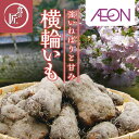 【ふるさと納税】1859 伊勢の横輪いも【11月中旬以降の発送】横輪いも 芋 いも 山芋 とろろいも 生野菜 ねばり 伊勢 特産品 ご当地グルメ イオンリテール