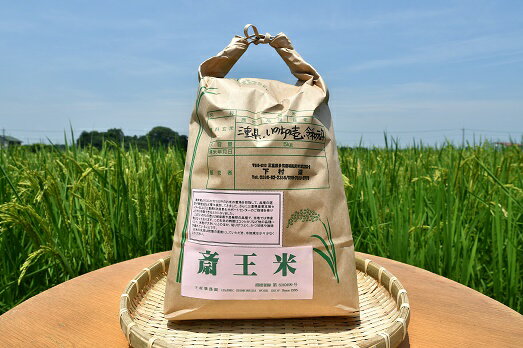 【ふるさと納税】1117　三重県産いのちの壱「斎王米」5キロのサムネイル