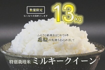 ミルキークイーン（特別栽培米）13kg【期間限定】