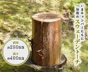【ふるさと納税】お洒落な焚火 スウェーデントーチ(大) アウトドア キャンプ