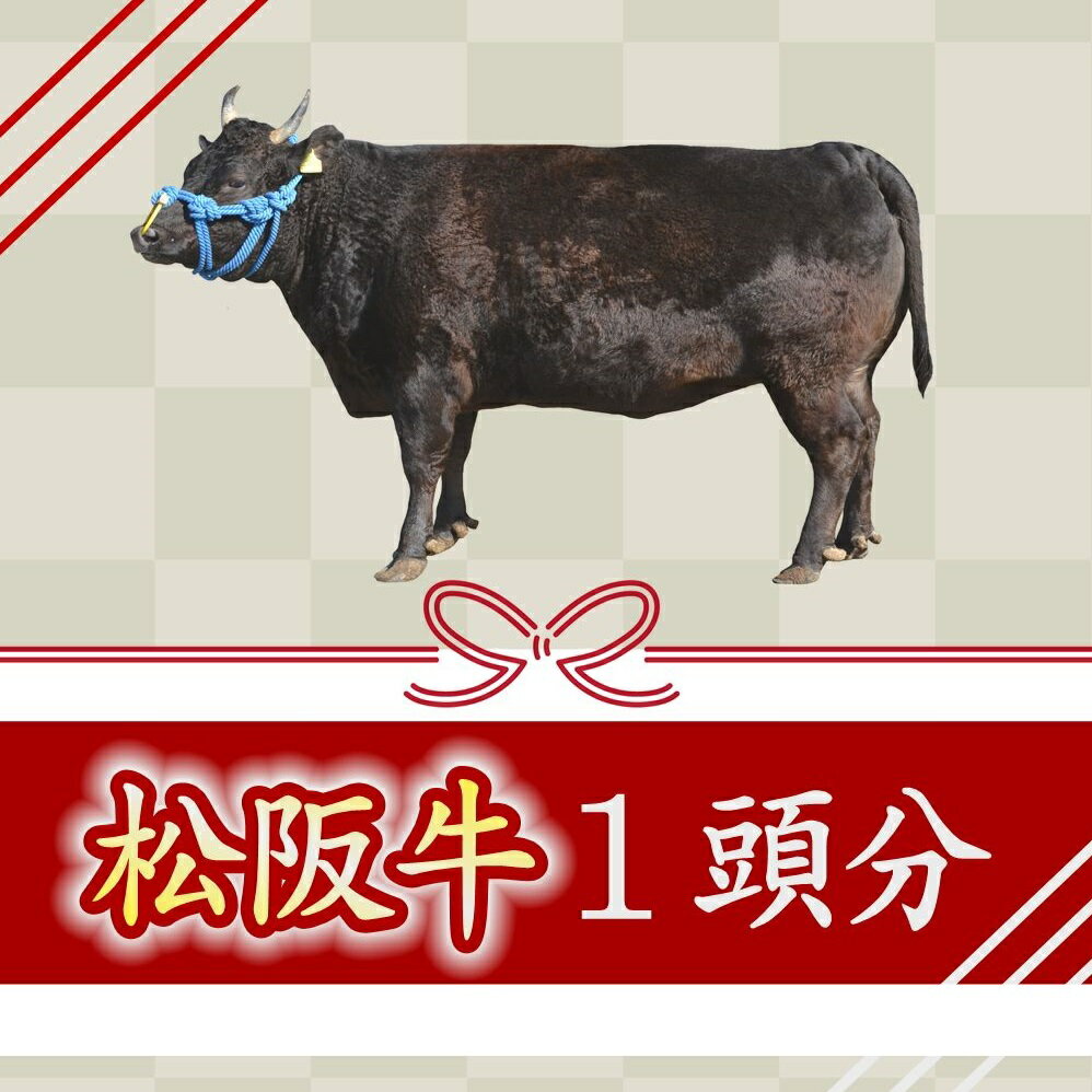 [1500-1]松阪牛 1頭分 〜牛タンからシャトーブリアンまで余すことなくお届けします〜