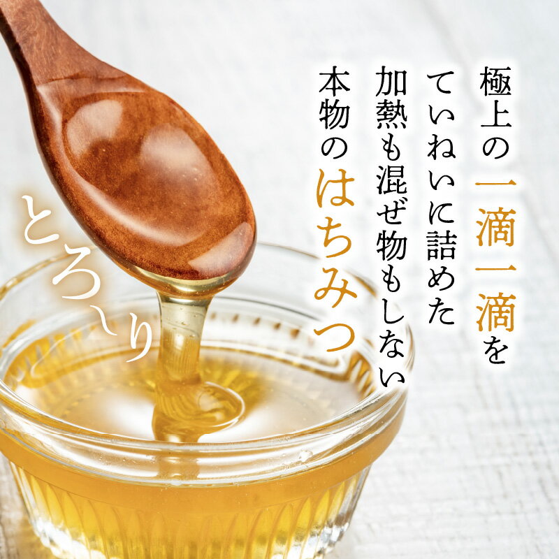 【ふるさと納税】蜜匠1000g2種セット はちみつ ハチミツ 蜂蜜 国産 日本製 国産はちみつ 国産ハチミツ 国産蜂蜜 国内産 れんげ 菜の花 みかん ミカン アカシア あかしあ とち密 蜜柑 ミツバチ トースト ヨーグルトパンケーキ ホットケーキ チーズ 松治郎の鋪 老舗 養蜂園