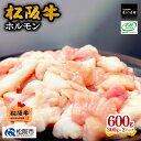 【ふるさと納税】松阪牛ホルモン600g(300g×2P) 松阪牛 松坂牛 牛肉 ブランド牛 高級 和牛 日本三大和牛 国産 ホルモンミックス ミックスホルモン もつ鍋 モツ鍋 ホルモン鍋 もつ煮 モツ煮 焼肉 焼き肉 バーベキュー 冷凍 小分け