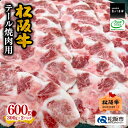 松阪牛 【ふるさと納税】松阪牛テール焼肉用 松阪牛テール焼肉用 300g×2P　松阪牛 松坂牛 牛肉 ブランド牛 高級 和牛 日本三大和牛 国産 霜降り 小分け 焼肉 焼き肉 焼肉用 焼き肉用 バーベキュー BBQ 真空パック 冷凍