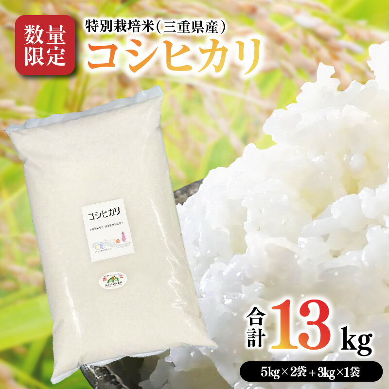 【ふるさと納税】＜13kg＞特別栽培米 コシヒカリ こしひかり【期間限定】数量限定 令和四年産 三重県産 米 精米 ふっくら もちもち 低農薬 有機肥料 低温貯蔵