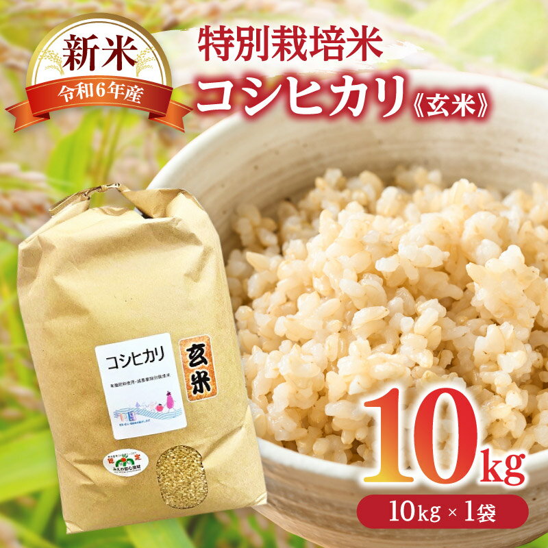 コシヒカリ（特別栽培米）玄米 10kg（新米予約9月以降発送）