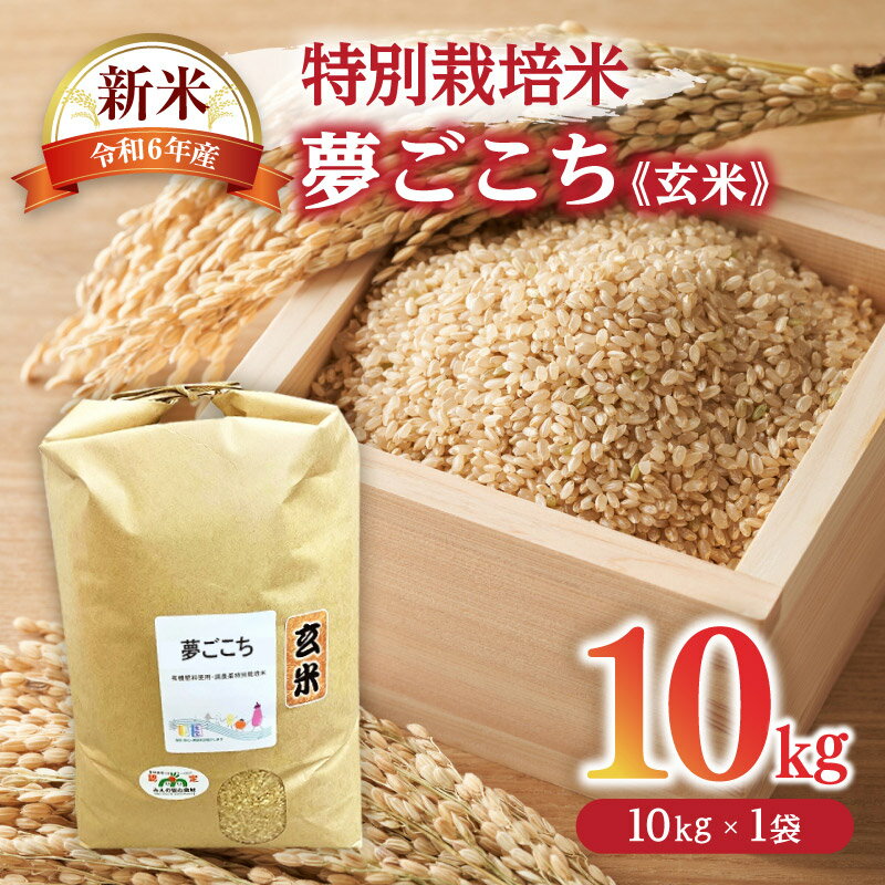 夢ごこち(特別栽培米)玄米 10kg(新米予約9月以降発送)