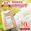 人気ランキング第5位「三重県松阪市」口コミ数「0件」評価「0」《新米予約》 特別栽培米 コシヒカリ 10kg（9月以降発送） こしひかり 令和六年産 三重県産 米 精米 白米 お米 ふっくら もちもち 低農薬 有機肥料 低温貯蔵 令和6年産