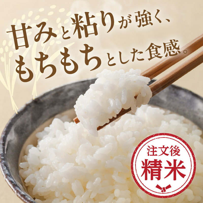 【ふるさと納税】【令和5年度産】特別栽培米 コシヒカリ 10kg こしひかり 令和五年産 三重県産 米 精米 白米 お米 ふっくら もちもち 低農薬 有機肥料 低温貯蔵