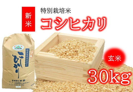 17位! 口コミ数「0件」評価「0」コシヒカリ（特別栽培米）玄米 30kg（新米予約9月以降発送）